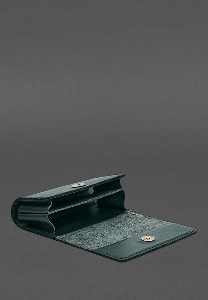 Кожаный футляр (чехол) для IQOS Зеленый BN-GC-30-malachite фото
