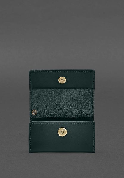 Кожаный футляр (чехол) для IQOS Зеленый BN-GC-30-malachite фото